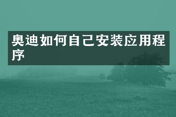 奥迪如何自己安装应用程序