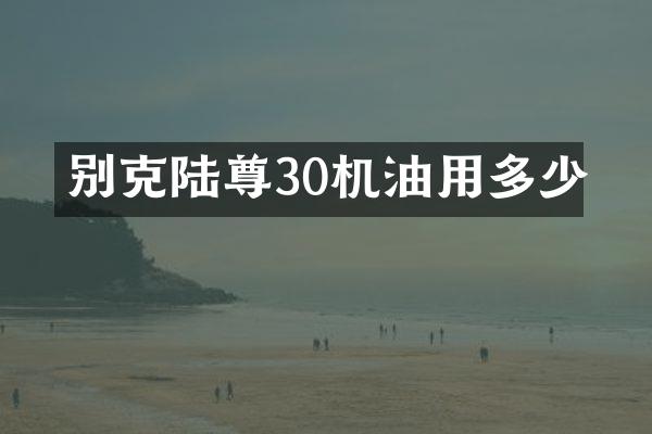 别克陆尊30机油用多少