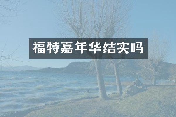 福特嘉年华结实吗