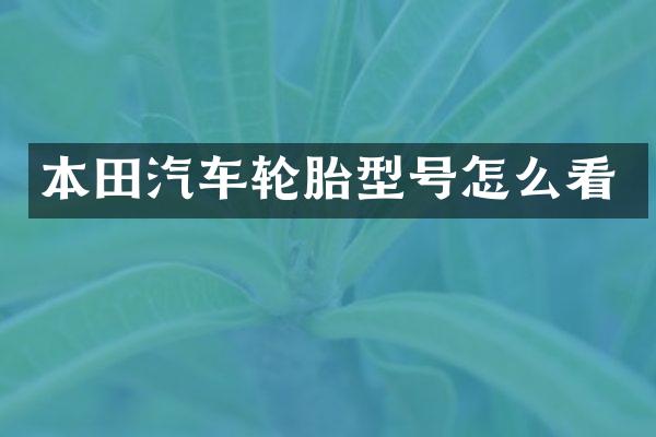 本田汽车轮胎型号怎么看