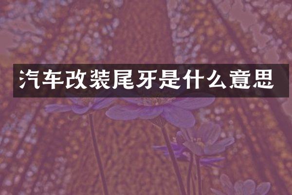 汽车改装尾牙是什么意思