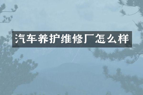 汽车养护维修厂怎么样