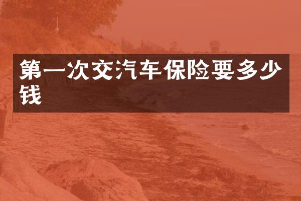 第一次交汽车保险要多少钱