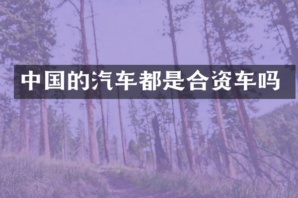 中国的汽车都是合资车吗
