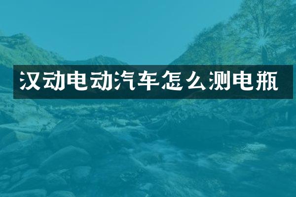 汉动电动汽车怎么测电瓶