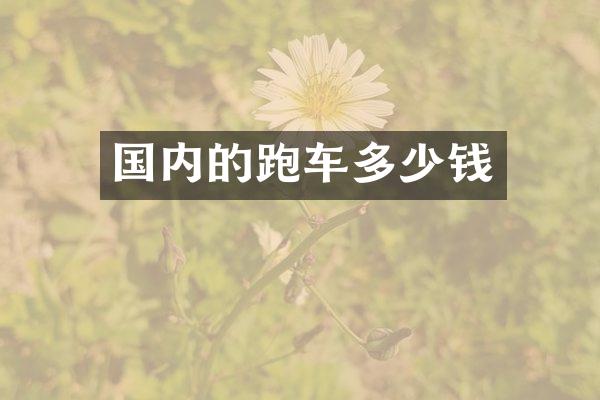国内的跑车多少钱