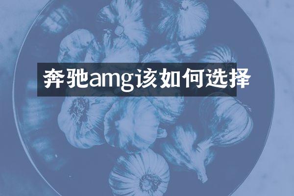 奔驰amg该如何选择