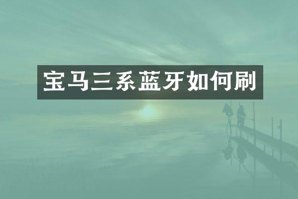 宝马三系蓝牙如何刷