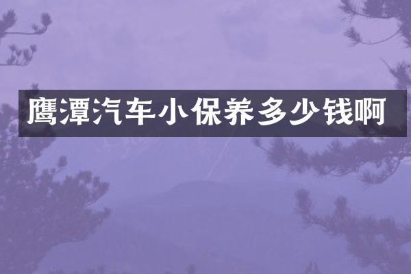 鹰潭汽车小保养多少钱啊