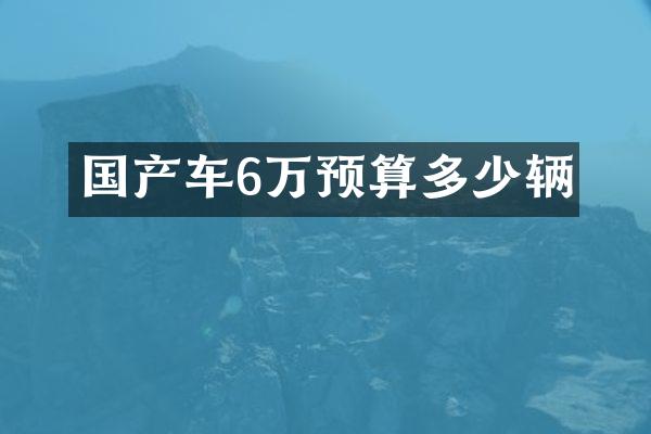 国产车6万预算多少辆