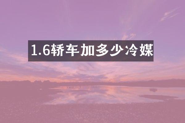 1.6轿车加多少冷媒