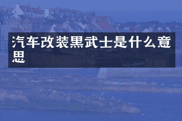 汽车改装黑武士是什么意思
