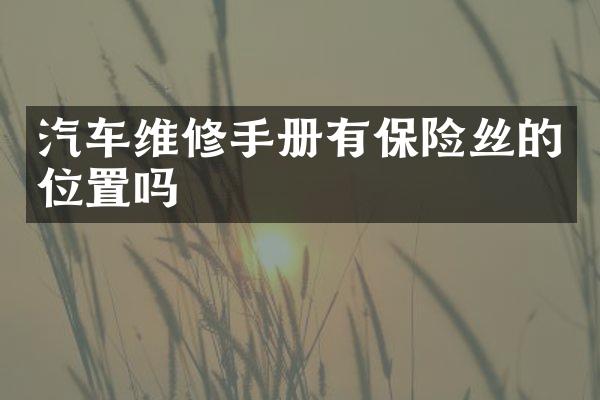 汽车维修手册有保险丝的位置吗