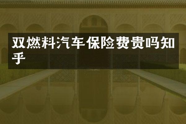 双燃料汽车保险费贵吗知乎