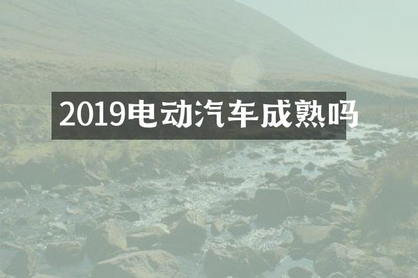 2019电动汽车成熟吗