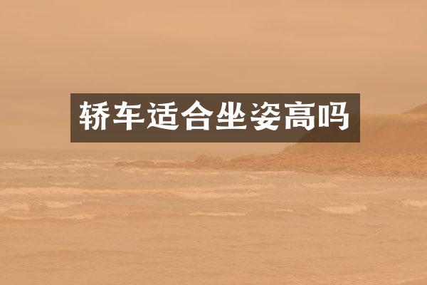 轿车适合坐姿高吗