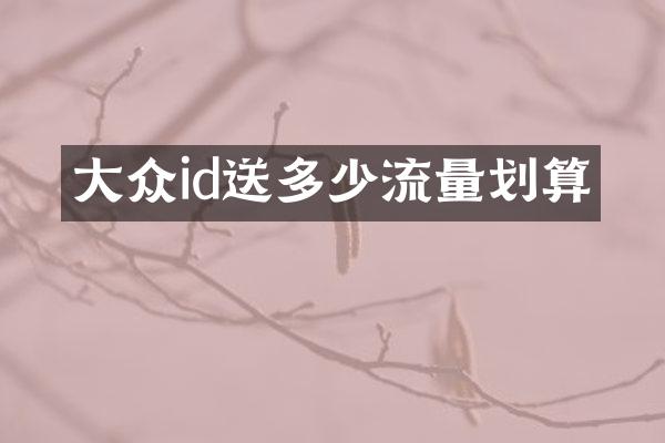 大众id送多少流量划算