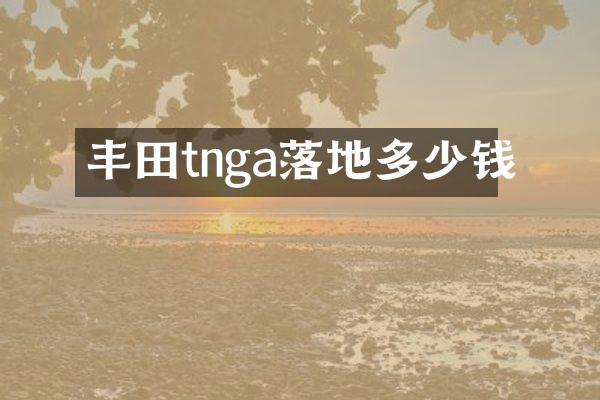 丰田tnga落地多少钱