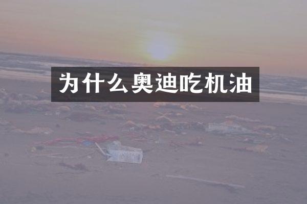 为什么奥迪吃机油