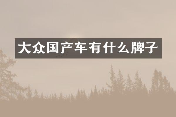 大众国产车有什么牌子