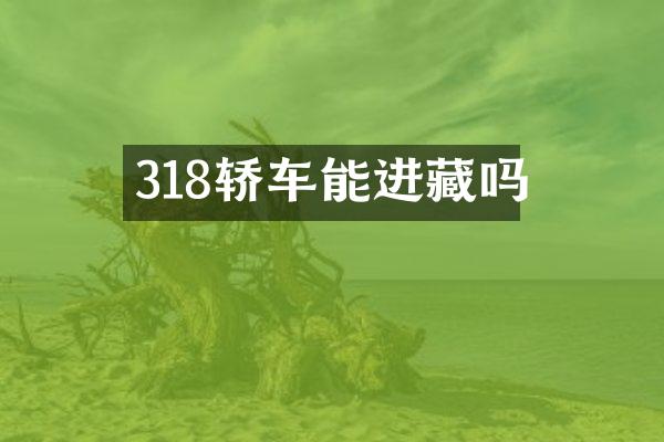 318轿车能进藏吗