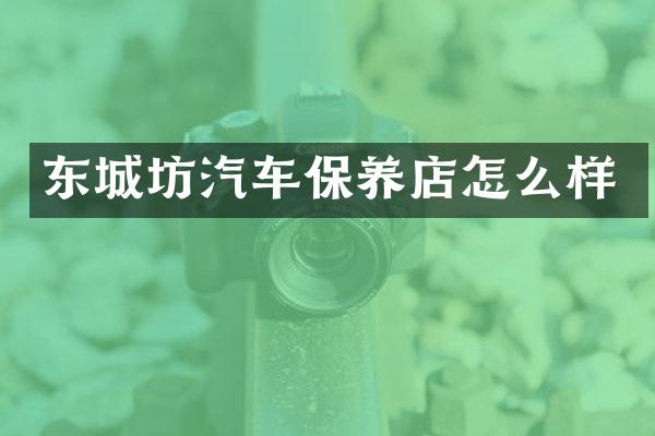 东城坊汽车保养店怎么样