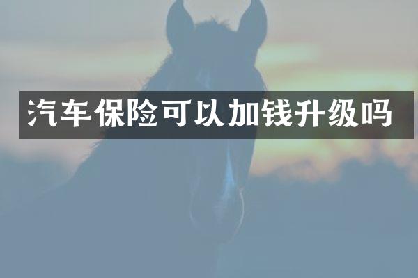汽车保险可以加钱升级吗