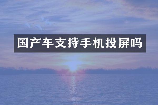 国产车支持手机投屏吗
