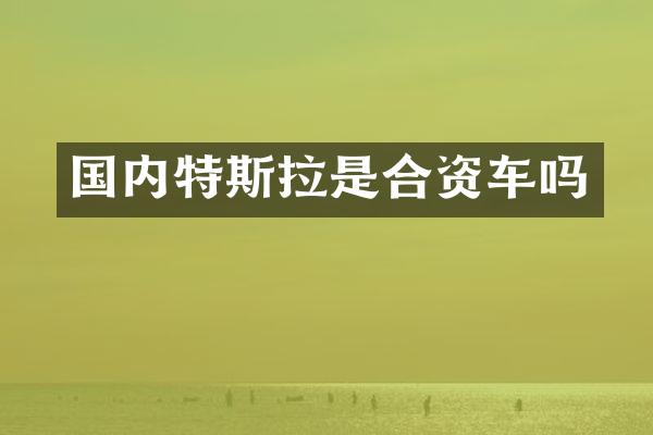 国内特斯拉是合资车吗