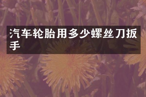 汽车轮胎用多少螺丝刀扳手