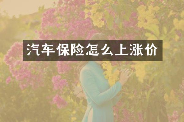 汽车保险怎么上涨价