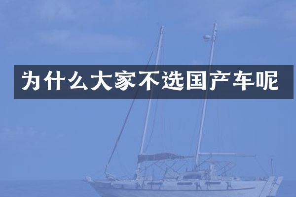 为什么大家不选国产车呢