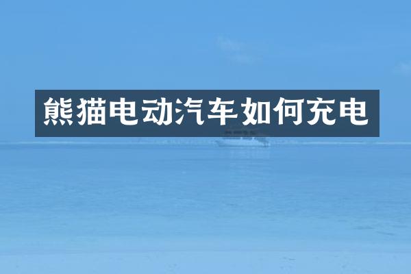 熊猫电动汽车如何充电