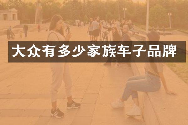 大众有多少家族车子品牌