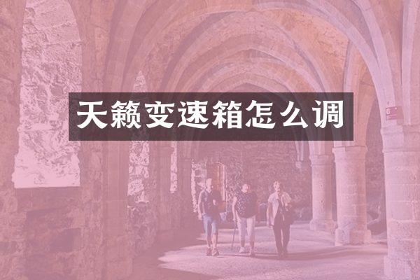 天籁变速箱怎么调