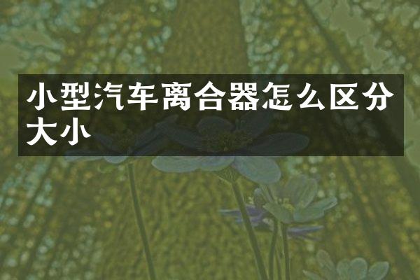 小型汽车离合器怎么区分大小