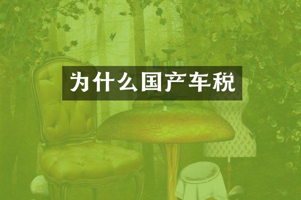 为什么国产车税