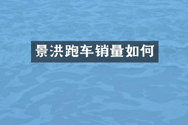 景洪跑车销量如何