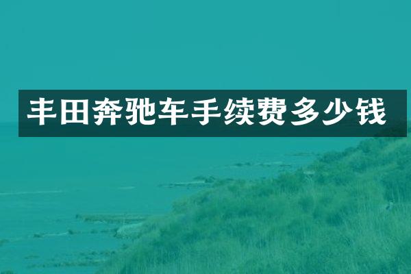 丰田奔驰车手续费多少钱
