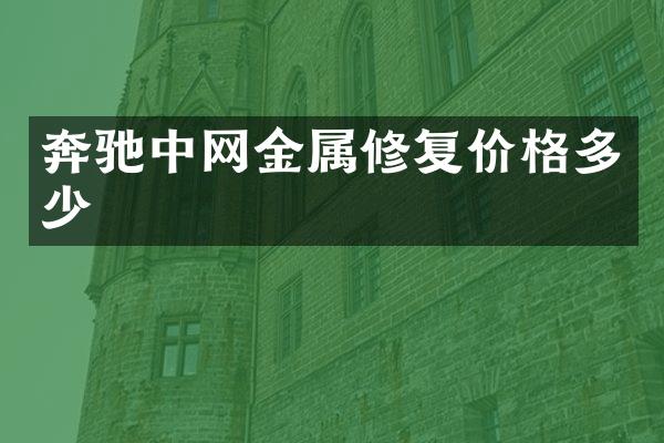 奔驰中网金属修复价格多少