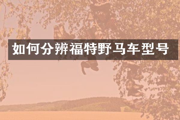 如何分辨福特野马车型号