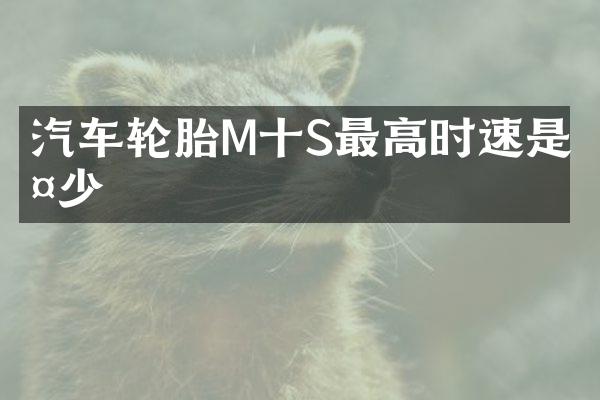 汽车轮胎M十S最高时速是多少