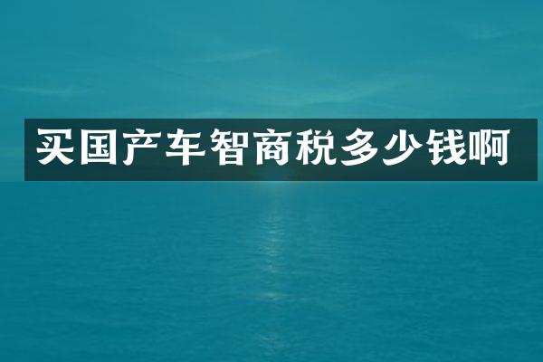 买国产车智商税多少钱啊