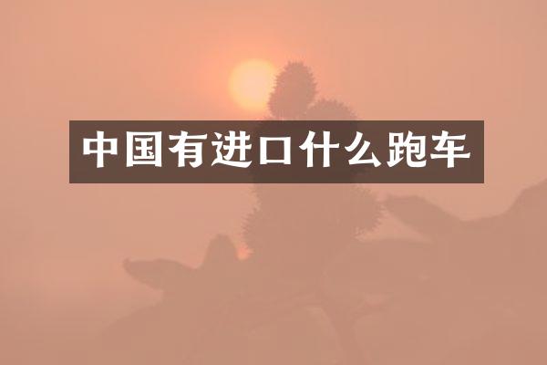 中国有进口什么跑车