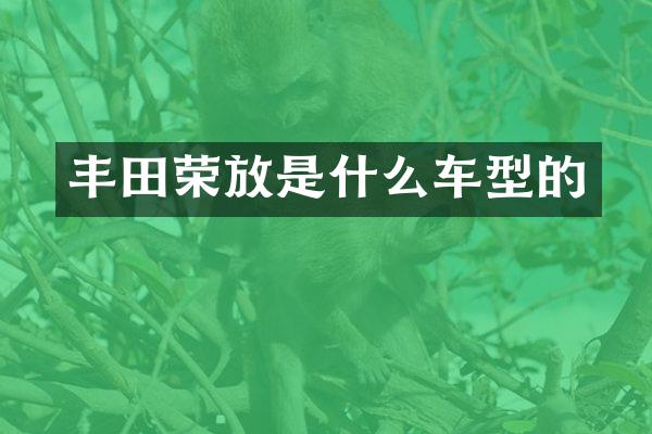 丰田荣放是什么车型的