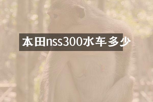 本田nss300水车多少