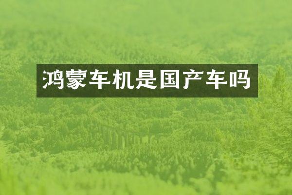 鸿蒙车机是国产车吗