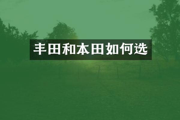丰田和本田如何选