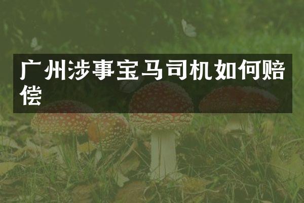 广州涉事宝马司机如何赔偿