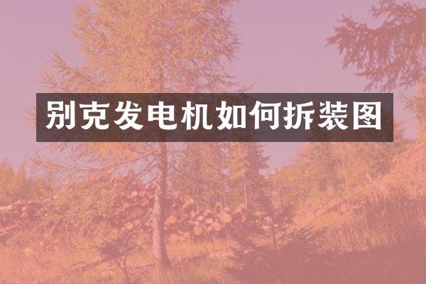 别克发电机如何拆装图